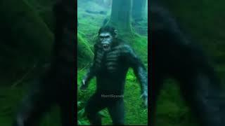 Animals Movie Fighting Clip  #movieclips #actionpacked #mustwatch #comedygold #fightscene