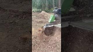 15 Min Stump Grinding in 60 Seconds