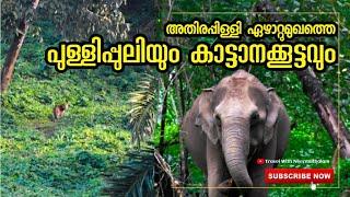 പുള്ളി പുലിയും ആനക്കൂട്ടവും - ഏഴാറ്റുമുഖം ഭാഗത്തു കണ്ടത് #travelwithneermathalam