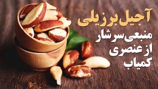 آجیل برزیلی منبعی سرشار از عنصری کمیاب