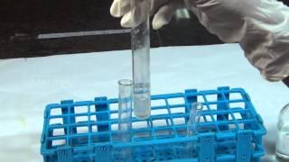 Chemical Tests for Carbonate - MeitY OLabs