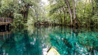 Don't Miss Kayaking in Iconic Silver Springs