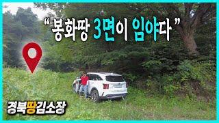 경북땅김소장[매번791번] #봉화땅#삼면이 임야입니다