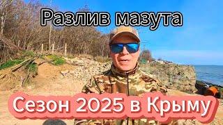 Как разлив мазута повлияет на курортный сезон в Крыму?