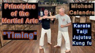 Principles of Martial Arts #9 "Timing" Michael Calandra