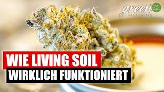 Wie man ein INDOOR „Living Soil Beet“ anlegt | GreenConnection x FLOrganics | HomeGrow Knowledge