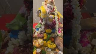 Ganpati Bappa Moryaa️🫶️@awesomeagnihotrisvlog #vlog #youtube #baby