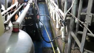 Milking parlour series: Paul and David Hyland, Co Laois