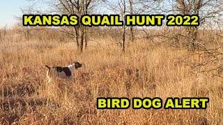 Kansas Quail Hunt Part 1