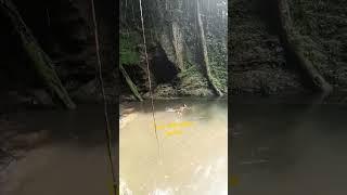 a dive into the spectacular #akpomfalls at Logba Tota. #viral #travel #diving #waterfall #ghana