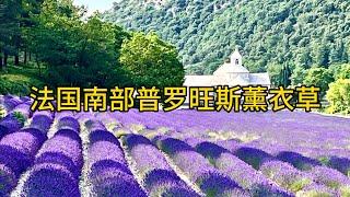 法国南部普罗旺斯薰衣草