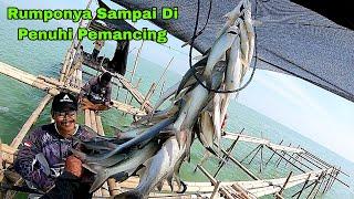 Edan!!! Ikan Melimpah Ruah Di Rumpon Ini.( Mancing Semarang