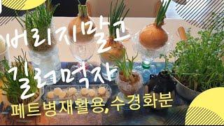 양파 길러먹기/페트병재활용 자동급수 수경화분만들기/홈가든