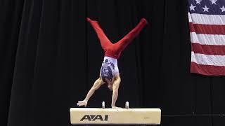 Sam Mikulak (USA) - Pommel Horse - 2019 American Cup