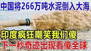 中国将266万吨水泥倒入大海！印度疯狂嘲笑我们傻，下一秒奇迹出现看傻全球！