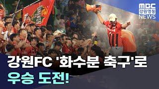 강원FC '화수분 축구'로 우승 도전!  20250106