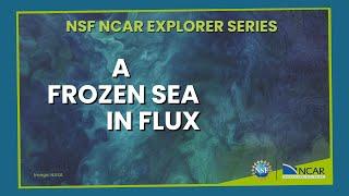A frozen sea in flux: Understanding changing Arctic Ocean ecosystems through art and science