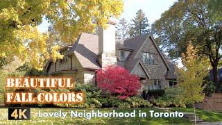 4K Beautiful Fall Colors in Lovely Toronto Neighborhood CANADA- The Kingsway Walking Tour