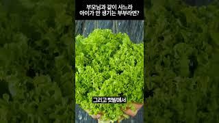 밤에 눈치 보지 말고 해!(?)[H1245][월세보다낫다]