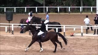 Hipismo Murilo Vendramel & Gaúcho FPH CESB Série 90cm Jun2014