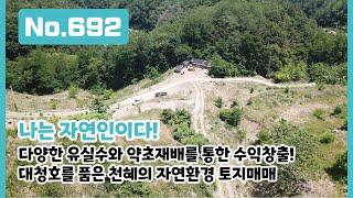 No.692 충북 옥천군 군북면 토지! 대청호를 품은 천혜의 자연환경을 가진 토지에서 자연인은 바로 나.. 다양한 유실수와 약초재배로 수익창출까지 노려요!