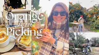 ORANGE PICKING | GAMTANNAN JEJU ISLAND | STYLED by LA | #silentvlog