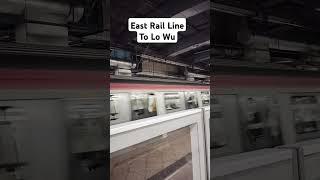 East Rail Line #mtr #hk #taipo #station #train #galamode #shortvideo #shortsfeed #travel