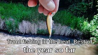 Trout fishing on a very hot day.... Biggest of the year so far!