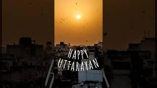 Countdown Makar Sankranti Status| Viral Happy Uttarayan shorts Video| Coming Soon Uttarayan Status |