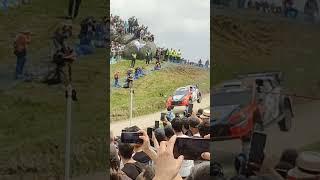 WRC PORTUGAL 2024  "O.TANAK" TC FAFE