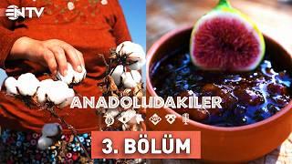 Anadoludakiler 3. Bölüm | Güney Ege | NTV