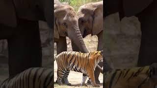 Please forgive me, I admit my sins. #funny #fun #funnyvideo