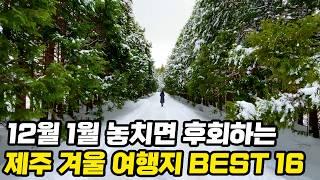 12월 1월 2월 겨울 제주도여행 1박2일 2박3일 코스 BEST 16 | 꼭 가봐야 하는 제주 동쪽 서쪽 서귀포 코스