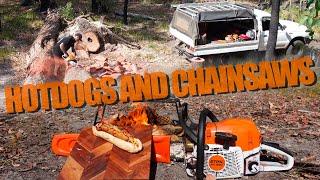 HOTDOGS AND CHAINSAWS | Firewood Collection And Campfire Cookup