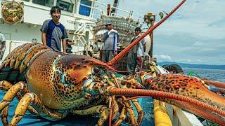 Giant Lobster Cutting, How the Japanese prepare delicious giant rainbow lobsters - Emison Newman