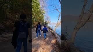 This autumn with my Abbi at Nami Island,#southkorea #viralvideo #autumn #travel #Nami island