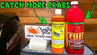 Top 3 Dungeness Crab Attractants Review & Crabbing Tips (Which Is My FAVORITE???)