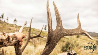 2023 Wyoming Archery Elk Hunt (Big Bull Down!)