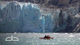 Endicott Arm & Dawes Glacier | Alaska