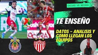 TE ENSEÑO DATOS DEL CHIVAS VS NECAXA | ANALISIS, HISTORIAL Y COMO VIENEN LOS EQUIPOS