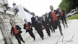 Chadi & Sarah Wedding 2