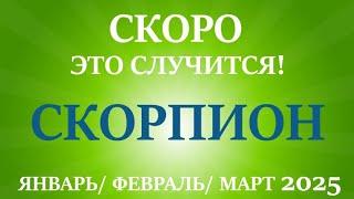 СКОРПИОНтаро прогноз на ЯНВАРЬ, ФЕВРАЛЬ, МАРТ 2025 первый триместр года! Главные события периода!