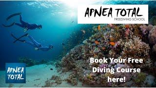 A Day With Apnea Total