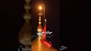 حياتنا حسين | حسين طاهري - #سماوات #محرم