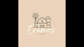 Eremos Farm-100% pastured raised, grass fed beef, chicken, pork, and wholesome goodness!