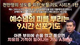 자면서 듣는 9시간 기도 ⎮ 예수의 피 뿌리는 선포기도 ⎮ 악한 영을 파쇄하는 기도 /박영민 목사의 보혈 선포기도 1탄