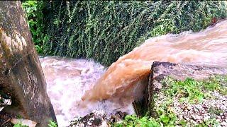 Heavy Storm Boris hits our Village in the Italian Mountains