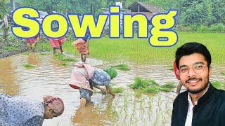 Sowing | Method of Sowing | The Sushant Agriculture .