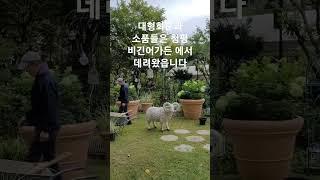 #타샤의정원251 #아름다운정원 만들기 #정원에필요한 소품들 #예쁜정원꾸미기