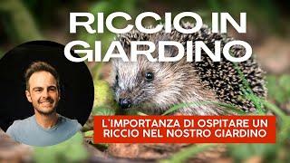 Ricci in giardino: scopri perché ne hai bisogno!